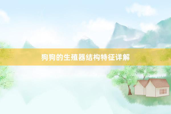 狗狗的生殖器结构特征详解