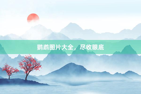 鹦鹉图片大全，尽收眼底