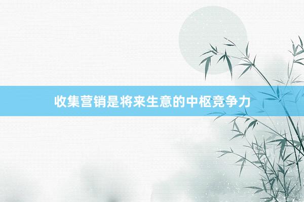 收集营销是将来生意的中枢竞争力
